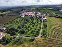 Quinta T4 em Arcos de 204,00 m2