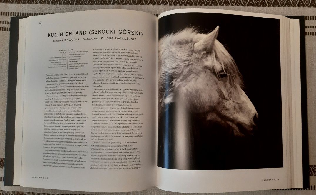 Piękne konie, ilustrowana historia ras, Tamsin Pickeral