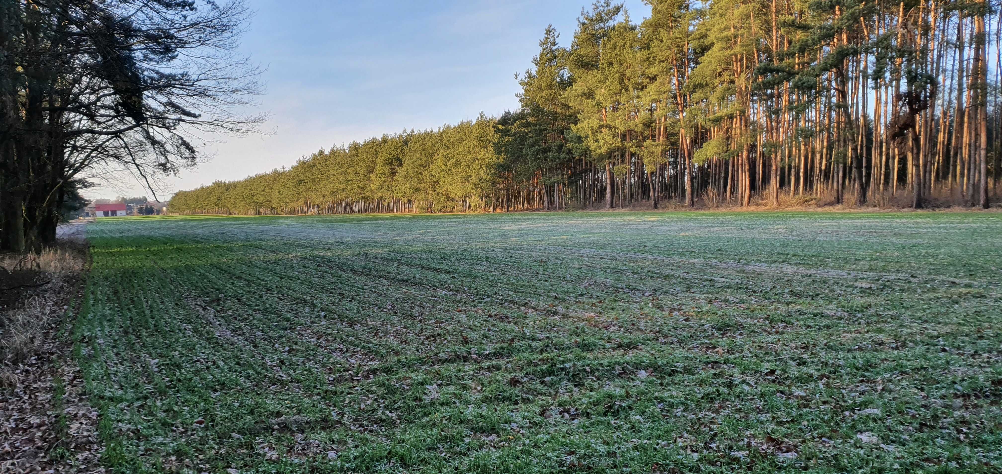 Działka budowlana Cicha i spokojna okolica Działki budowlane