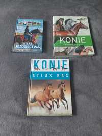 Konie Atlas jeździectwa, konie atlas ras, ilustrowany przewodnik