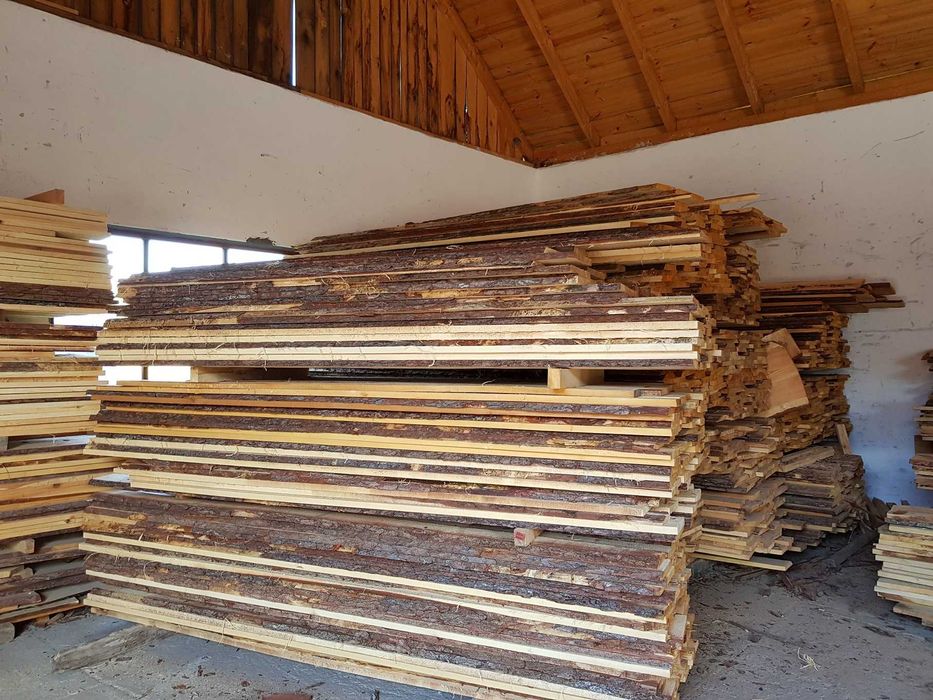 Tarcica Dębowa Dąb 50