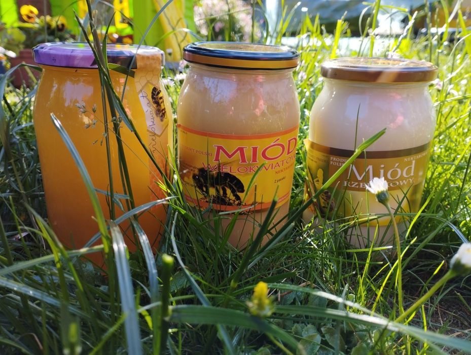 Miód wielokwiatowy sezon 2023