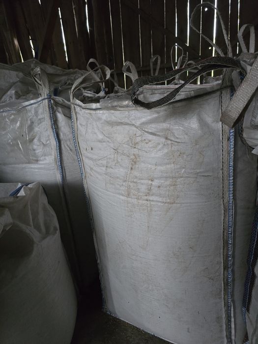 Żyto populacyjne typu Danko Rubin