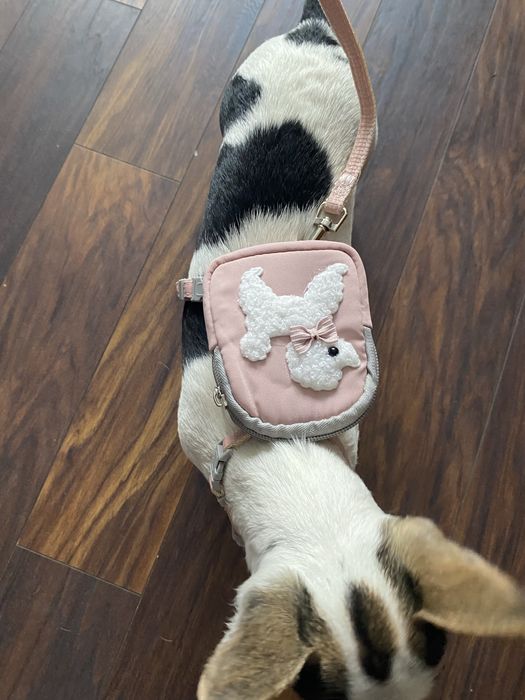 Nowe szelki z plecaczkiem dla pieska lub kota.