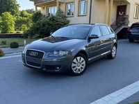 AUDI A3 8P 1.9TDI 105KM   Klima/Alu/ORYG!