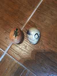 Dois ovos em mármore