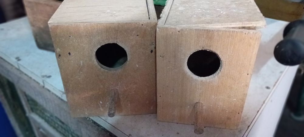 Ninhos para pássaros