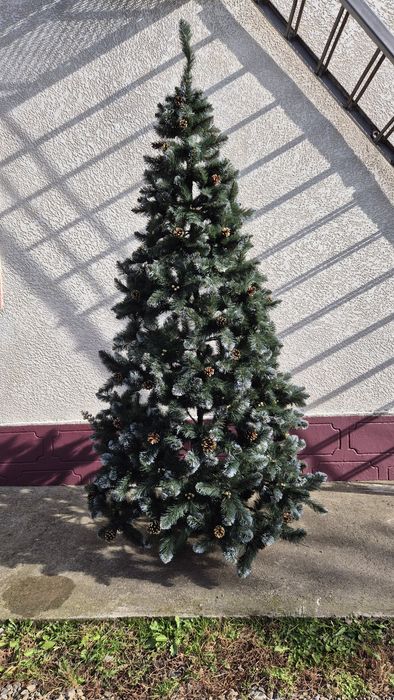 Продам ялинку висота 2.20