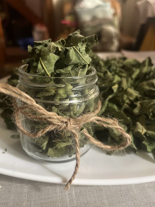 Чай инжирный. Лилейник, морозник