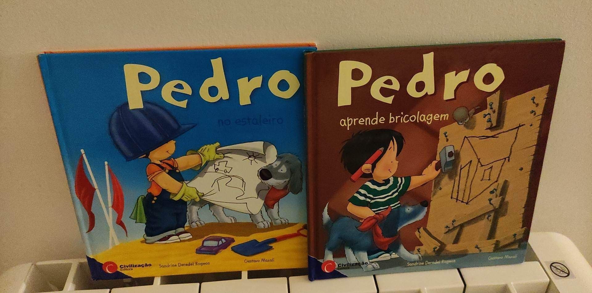 Livros do Pedro no Estaleiro e Pedro e a Bricolagem