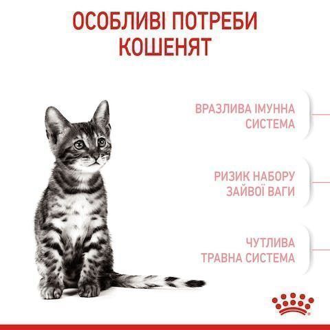 Royal Canin Kitten Sterilised 2кг