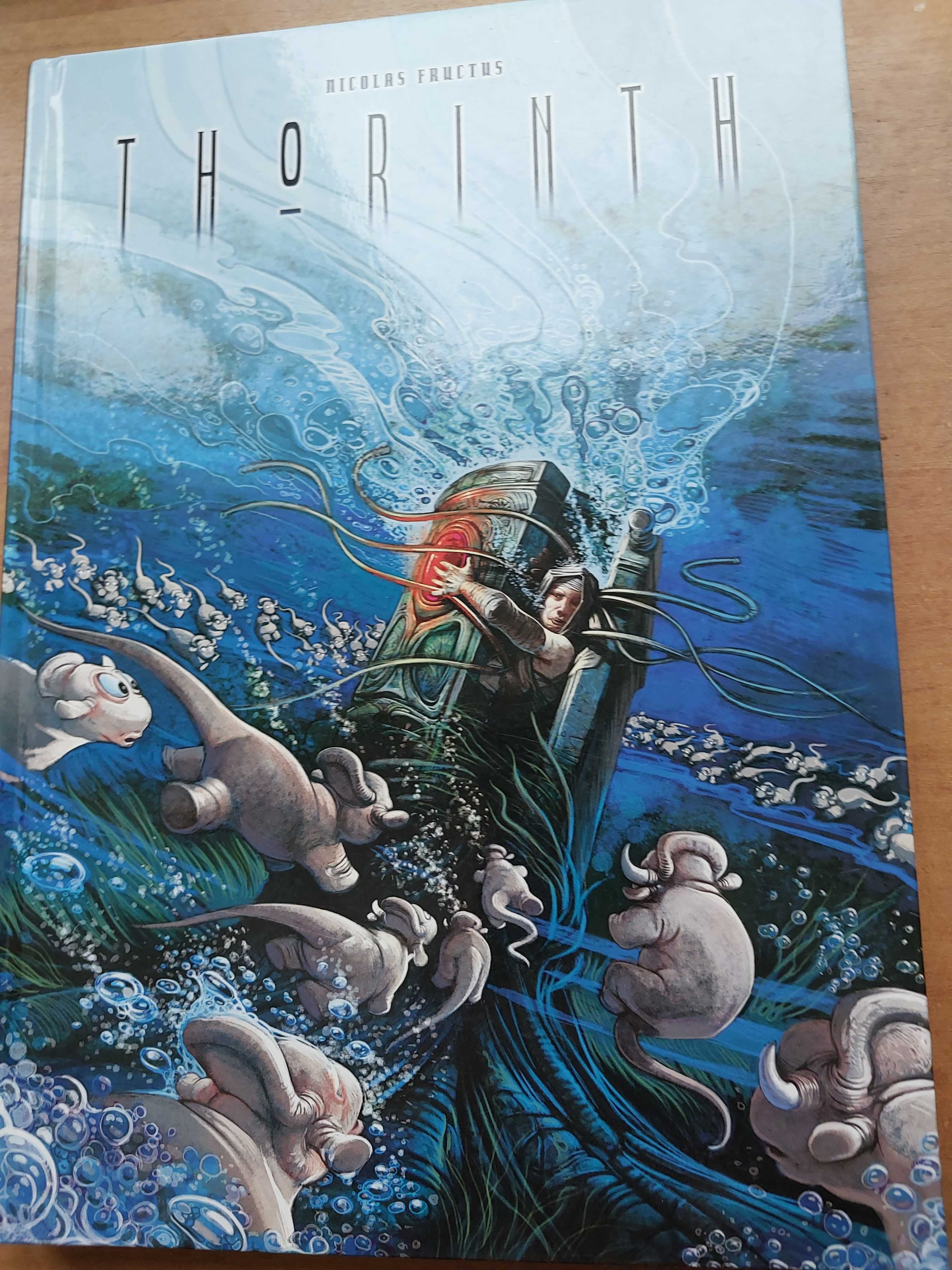 THORINTH - Nicolas Fructus - Studio Lain