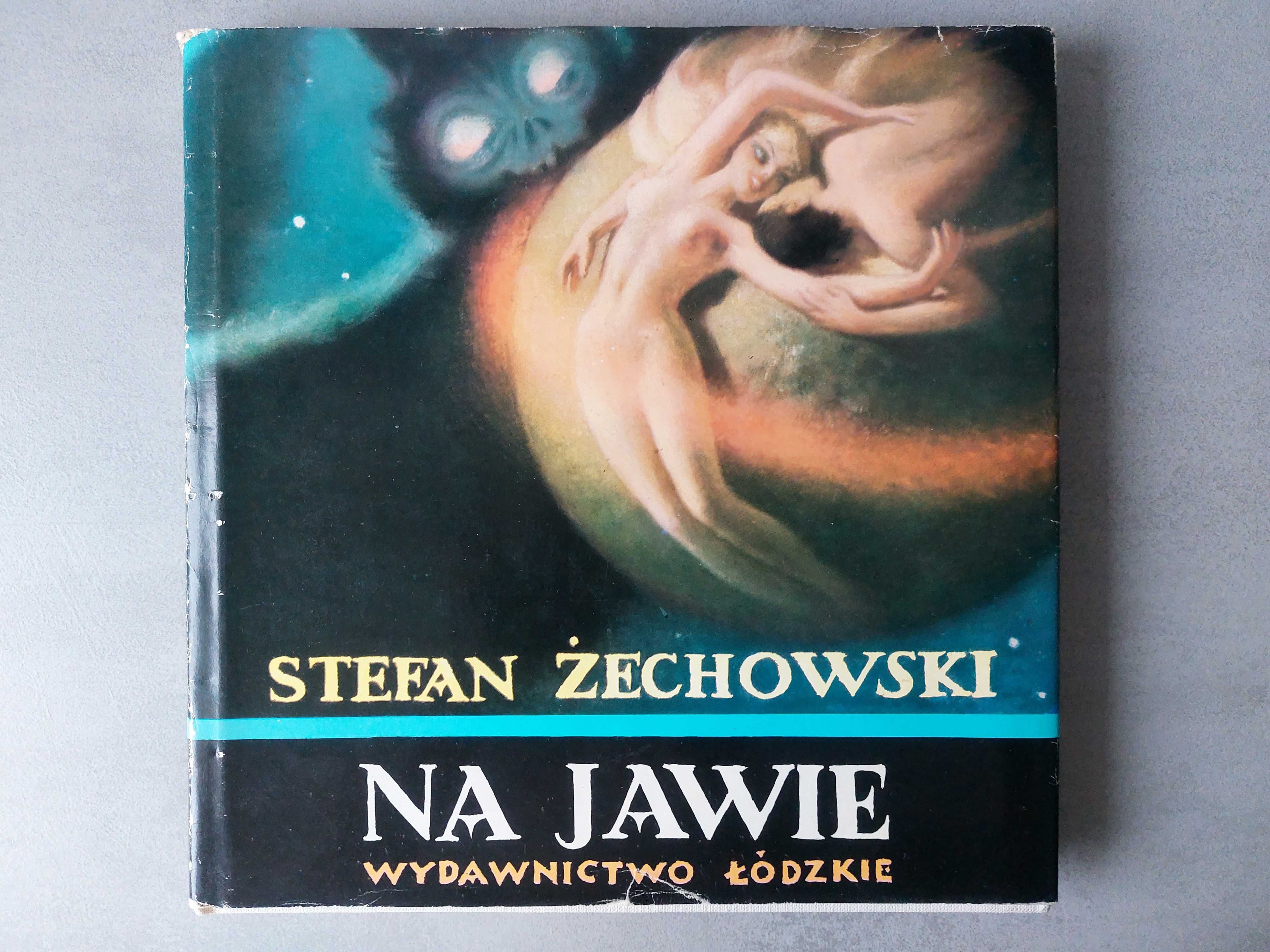 Stefan Żechowski - Na jawie - pamiętnik artysty reprodukcje obrazów