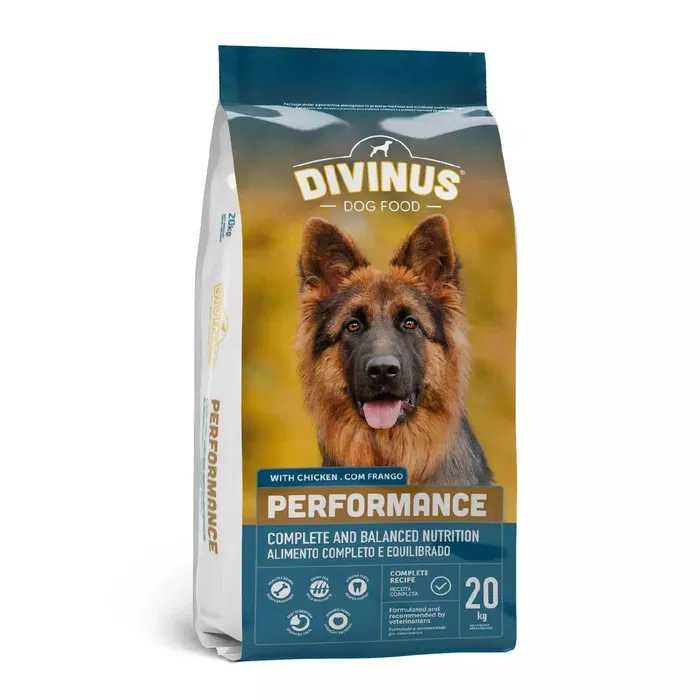 Divinus Performance sucha karma dla owczarka 20 kg karma dla psa
