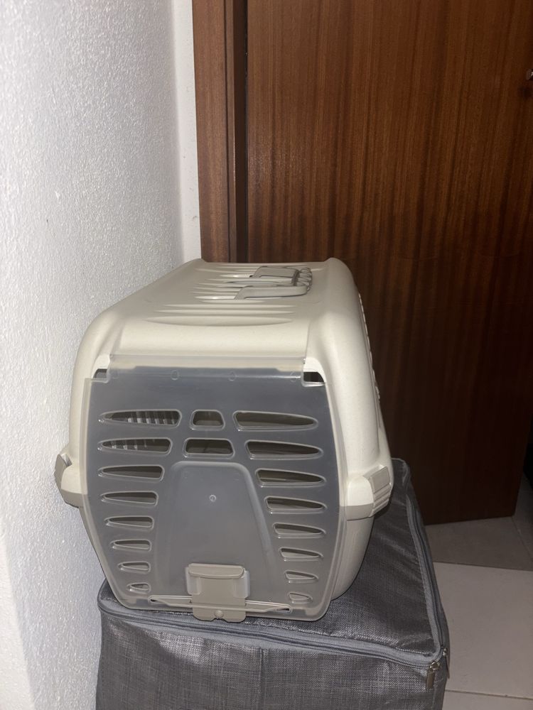 Transportadora gato