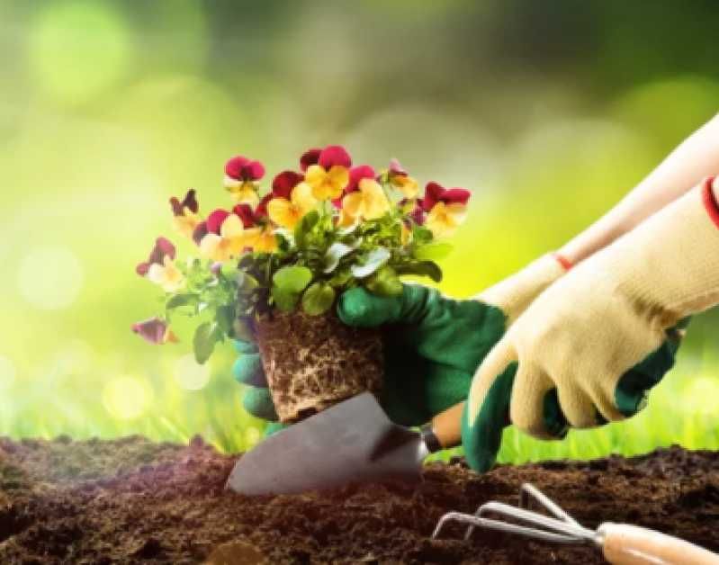Manutenção de Jardins em Setúbal – Serviço Profissional e Confiável