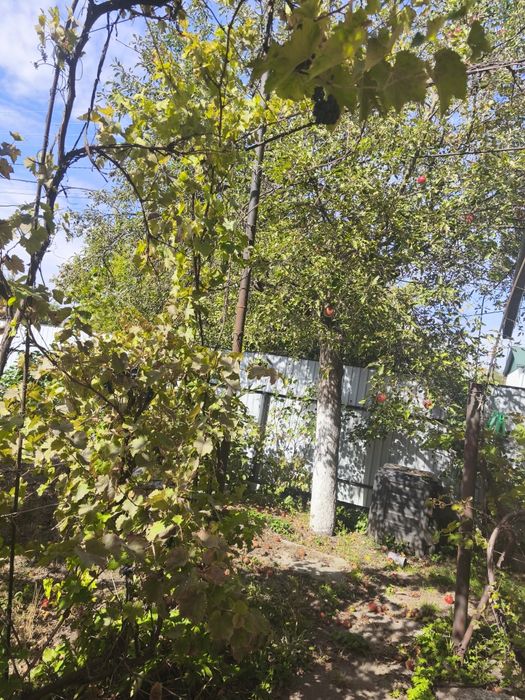 Здається будинок