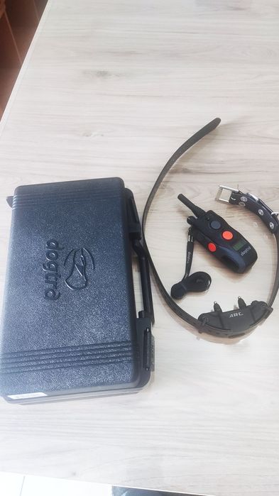 Coleira dogtra eletrónica profissional para cães