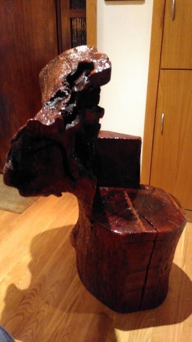 Banco esculpido em tronco de azinheira