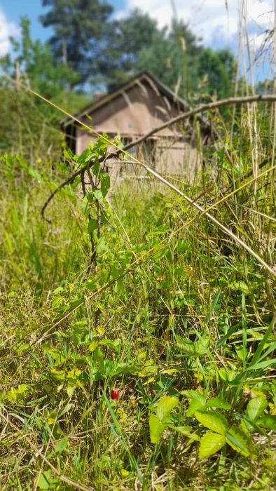 Дача в Дережичах 6сотих