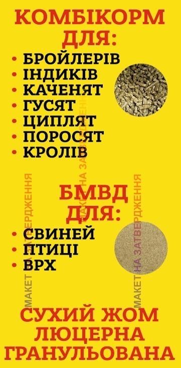 Насіння суданки, люцерна, фацелії та гірчиці