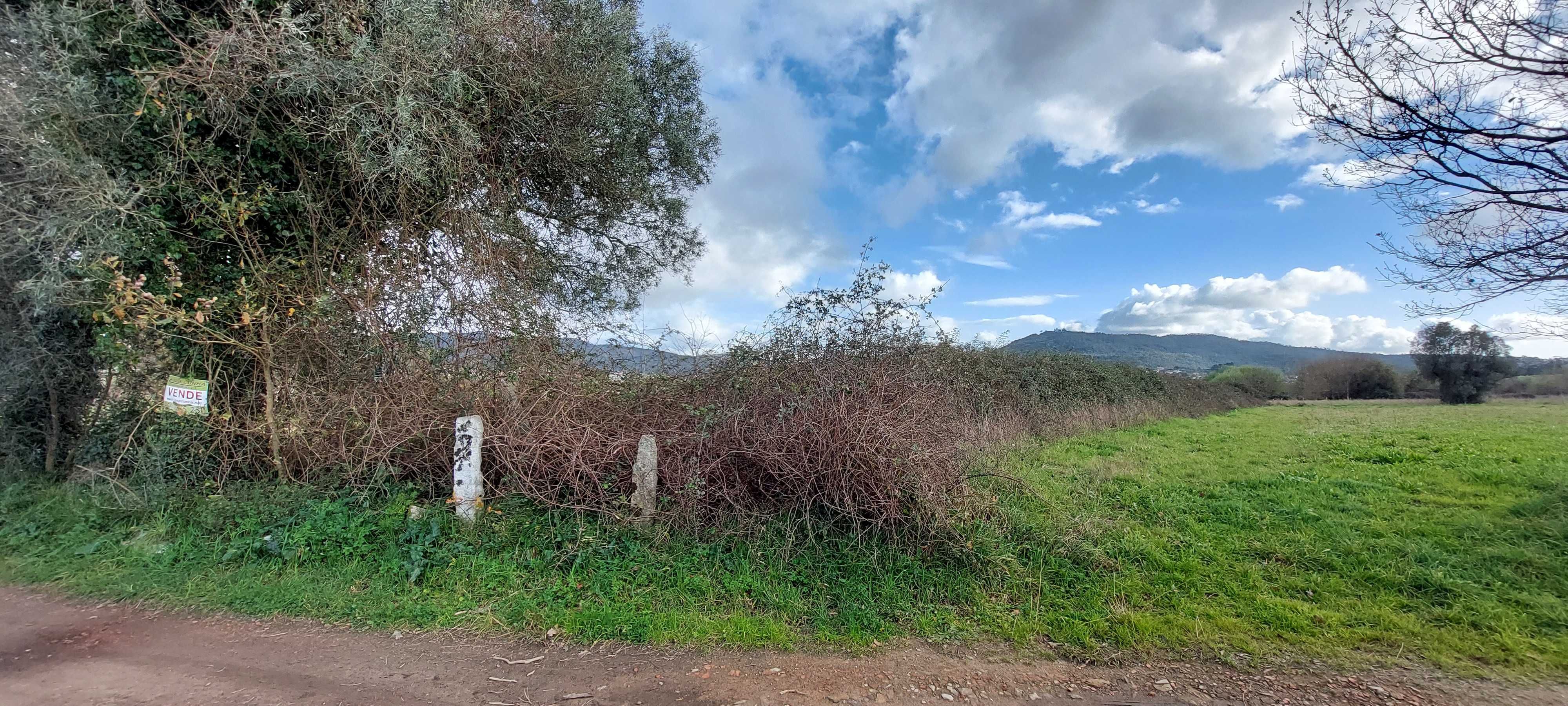 Terreno 960 m² Plano – Subportela, junto ao Rio Lima
