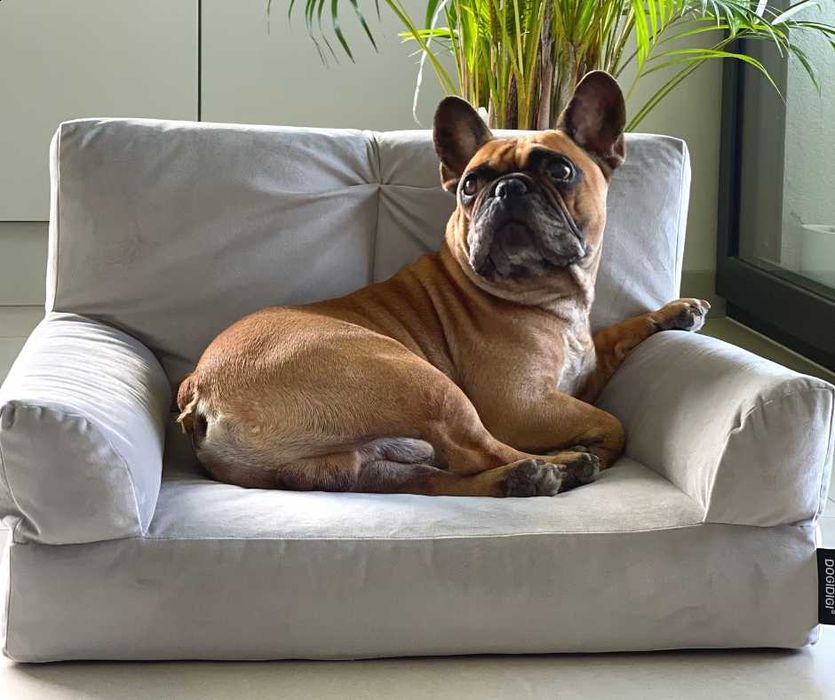 Legowisko dla psa COUCH 80 x 60 cm