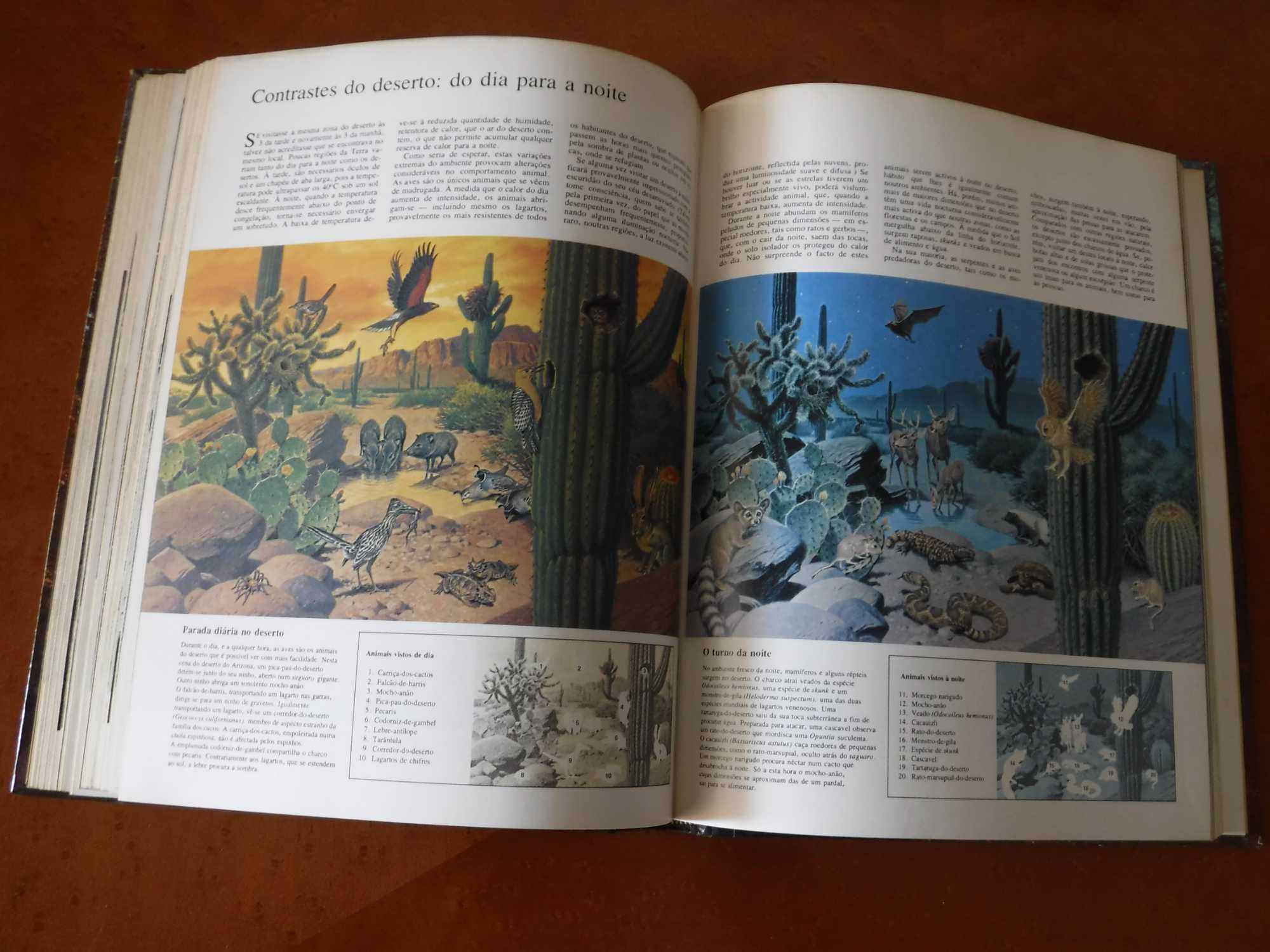 Ao Encontro da Natureza - Livro