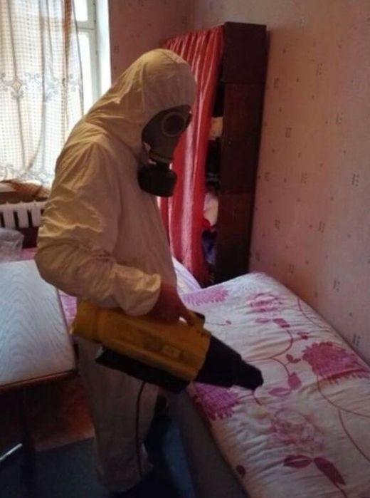 Уничтожение грызунов и насекомых холодным туманом Гарантия