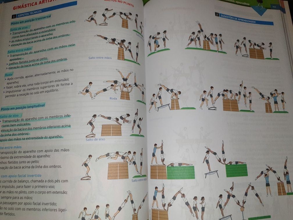 Manual Educação Física 10°\11°\12° anos