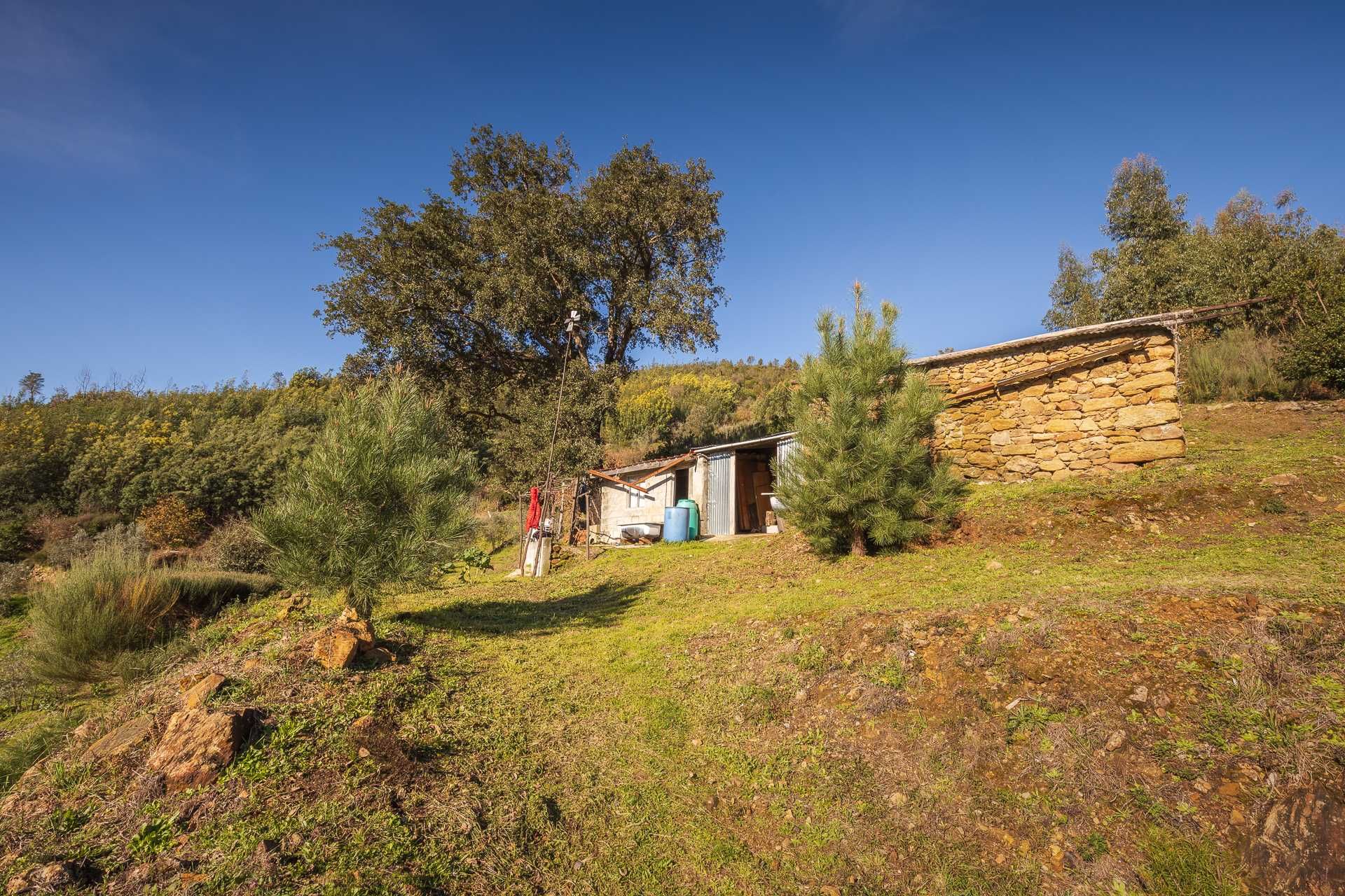 Quinta Rural com casa de campo - 9920 M2 (Vista para Serra da Estrela)