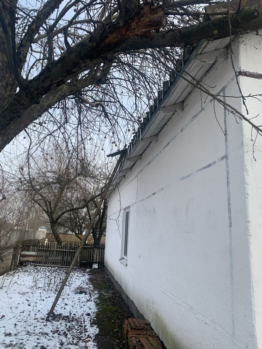 Дом- усадьба, собственник