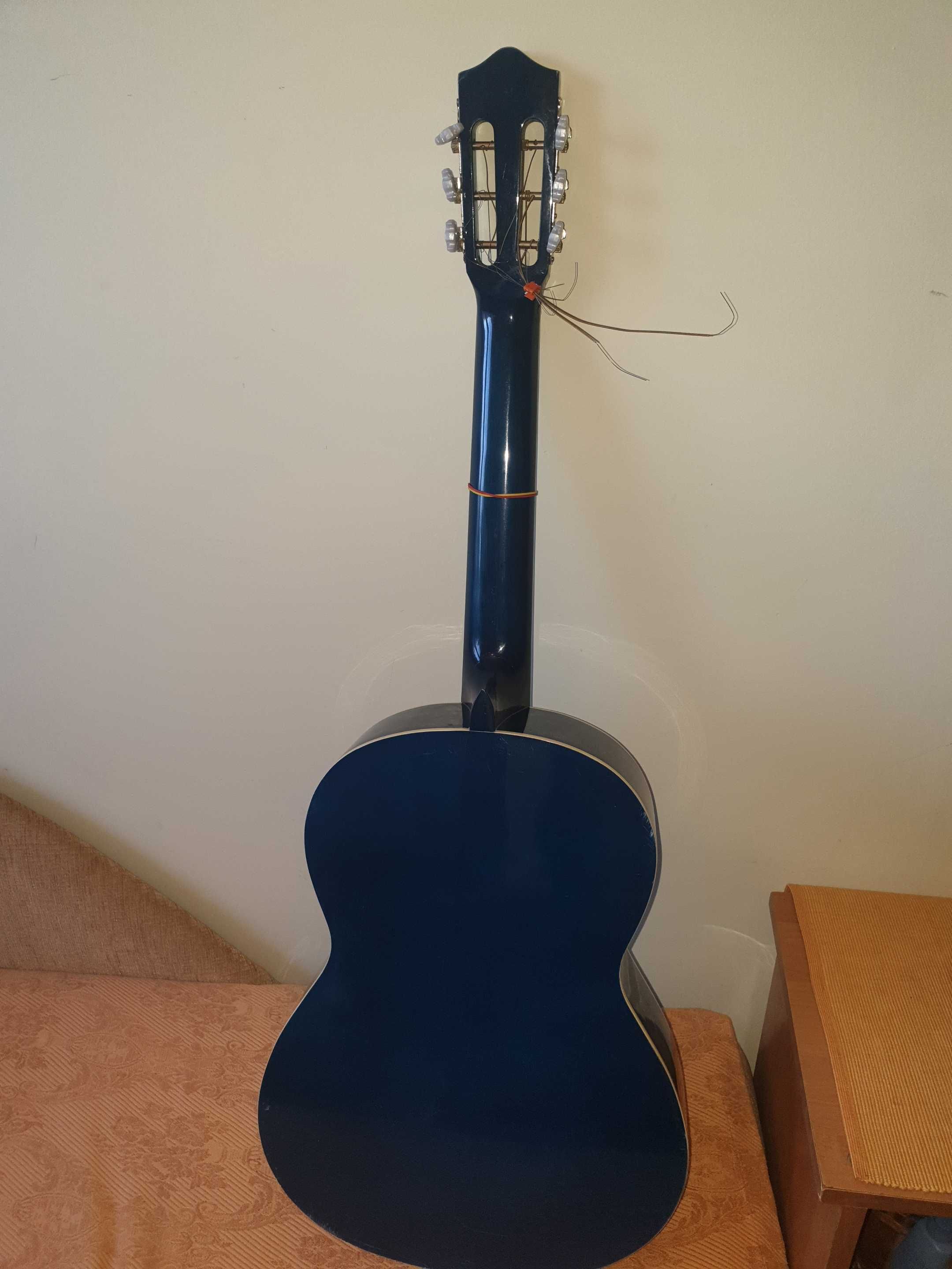 Gitara akustyczna Durango MG-916 + pokrowiec + książka - NIEBIESKA