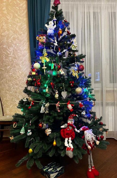 Ялина лита зелена "Царська" 2.1 м.