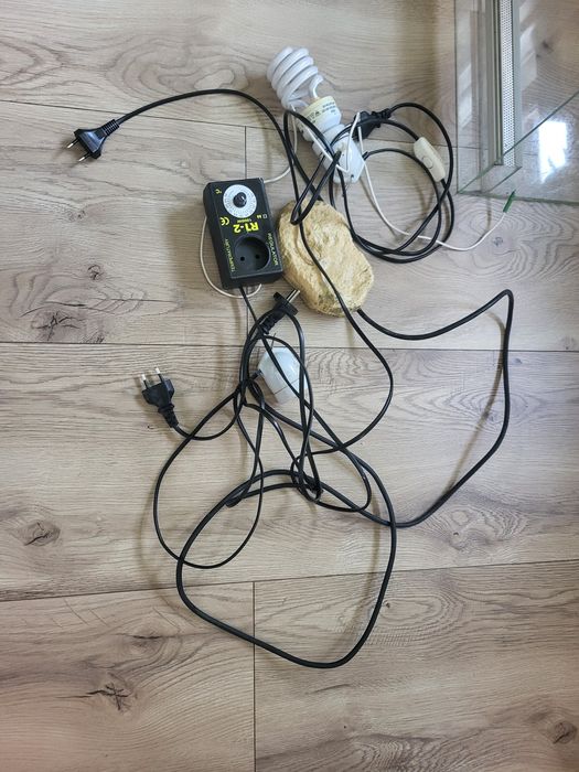 Terrarium dla agamy, gekona