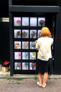 Флоромат Цветомат автомат для продажи для цветов