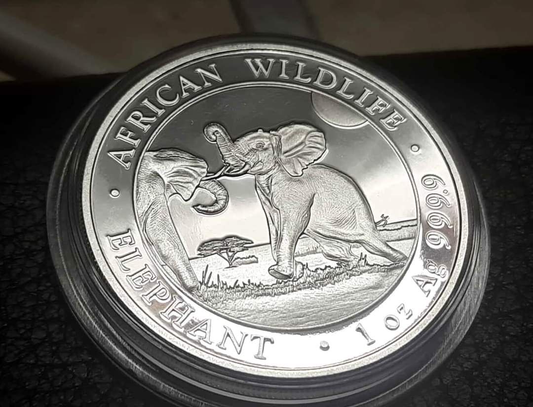 Інвестиційна срібна монета "Сомалійський слон". 1 унція 2024.