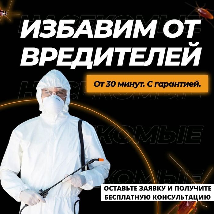 Избавим от тараканов клопов насекомых в вашей квартире