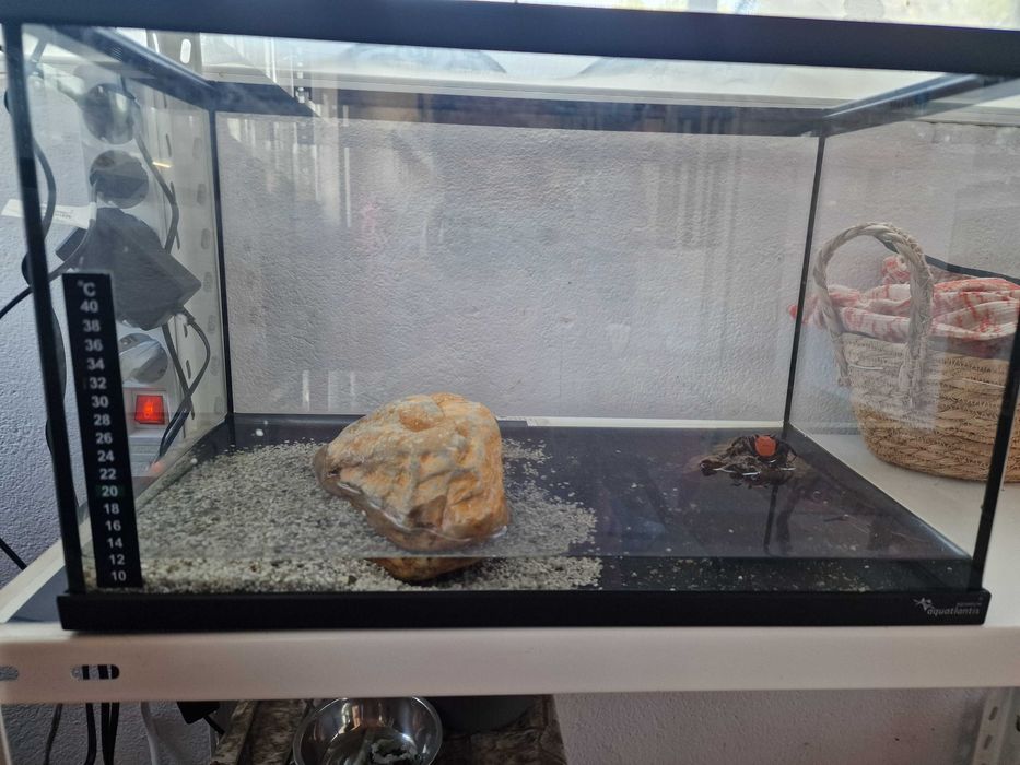 2 Aquários disponíveis