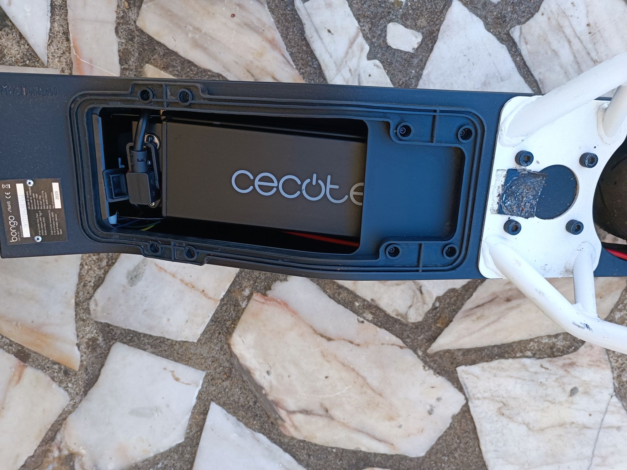 Trotinete ecotec bongo z