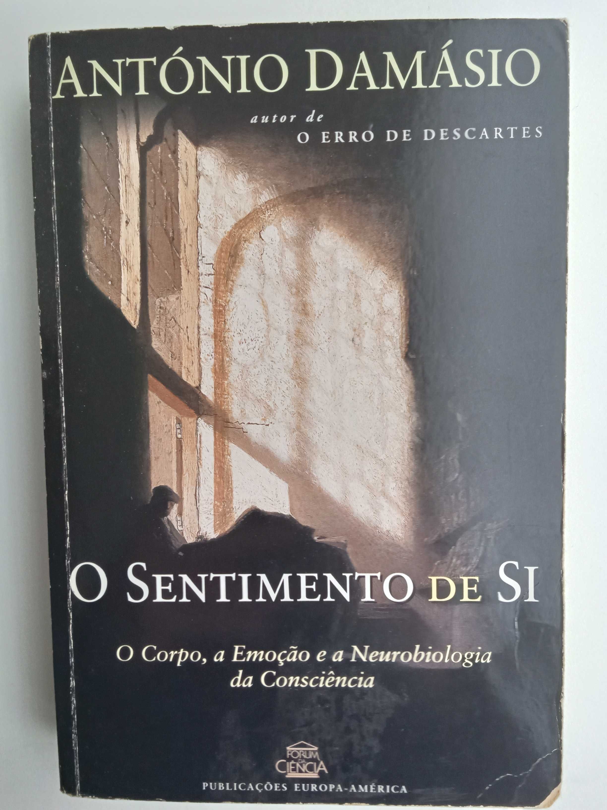 António Damásio - O sentimento de si