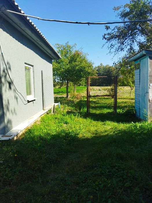 Подається будинок в селі Бакланове Муравійка. Власник