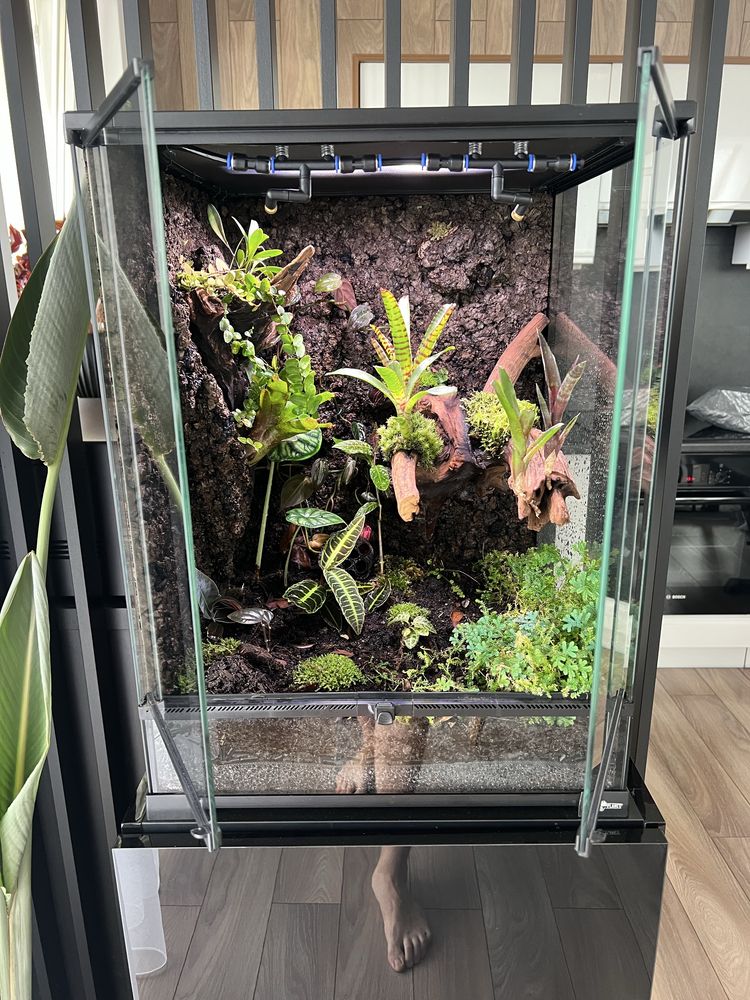 Terrarium tropikalne z wyposażeniem