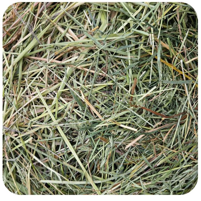 Siano majowe dla królików 4 kg I pokos