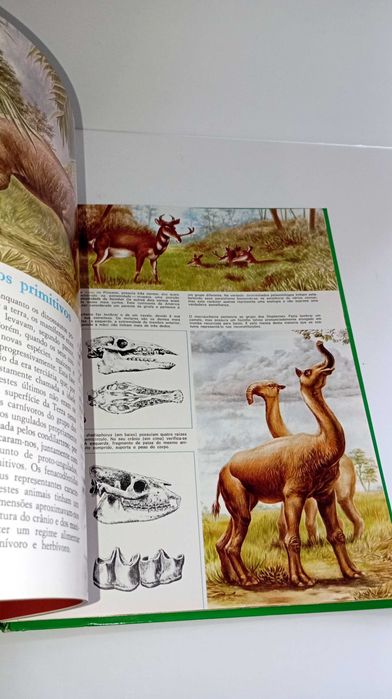 A Vida Secreta dos Animais na Pré- História