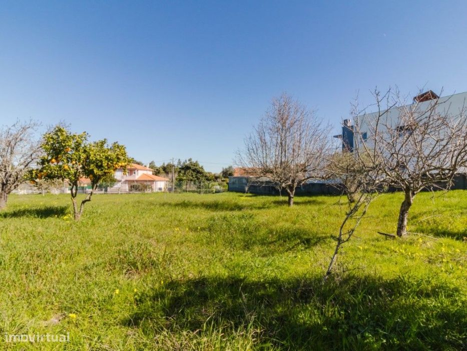 Lote de Terreno em Lemede