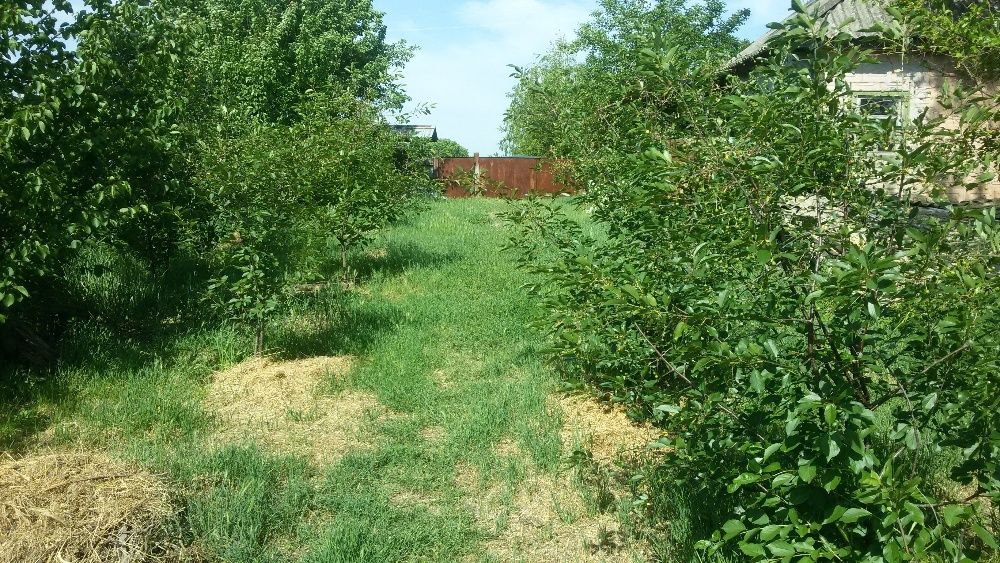 Продам земельный участок в с. Галагановка, (Черкасская обл.)