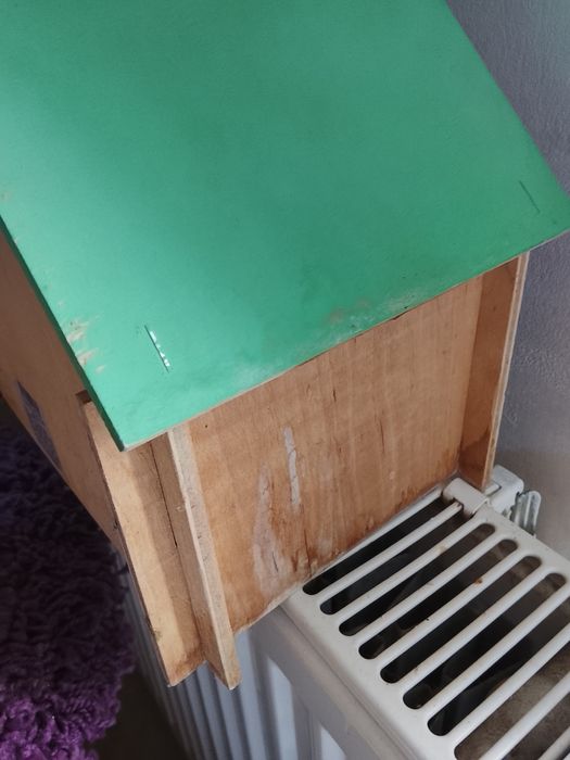 Деревянный домик для крыс, мышей,хомяка, кролика