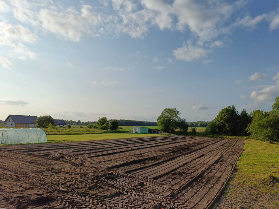 Rekultywacja, Mulczer, Wycinka, Karczowanie, Wgłębny, Koszenie