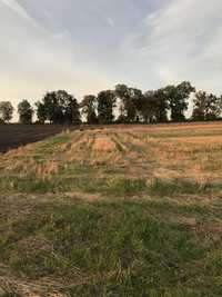 Sprzedam działkę budowlaną Lipsko gm. Zamość